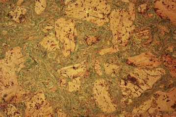 Cork oak panel texture