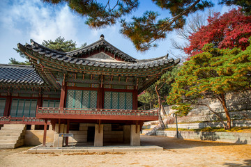 Obraz premium Changdeokgung Palace in Autumn in Seoul city, South Korea