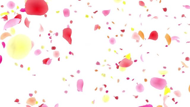 Colorful Flower Petals fluttering background