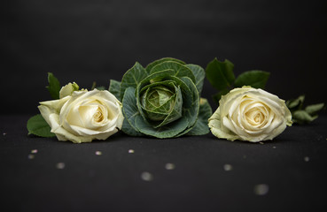 Cabbage and Rose Background