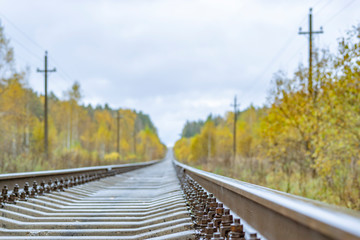 Railway in the autumn forest