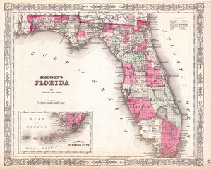 1864, Johnson Map of Florida