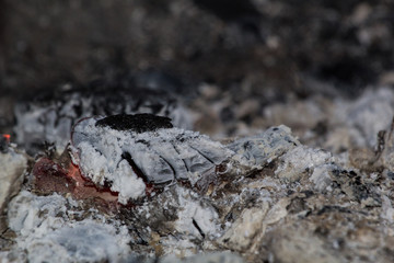 burning birch charcoal