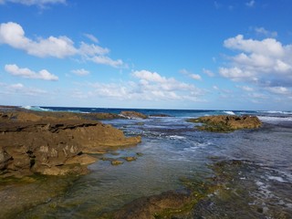 Naklejka na ściany i meble rocky shore at beach with tidepools in Isabela, Puerto Rico