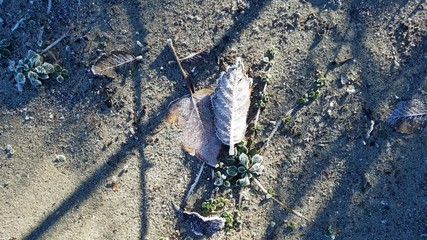 Mt Baker Washington - Pacific Northwest