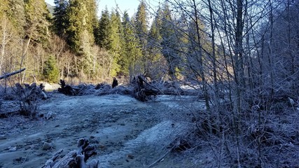 Mt Baker Washington - Pacific Northwest