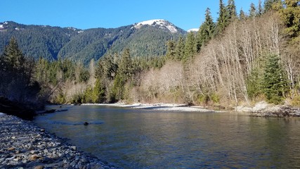 Mt Baker Nature Hike In the Winter