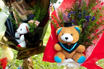 Teddy bear for congratulation gift.