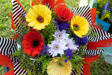 Teddy bear for congratulation gift.