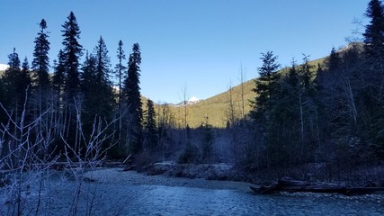 Mt Baker Nature Hike In the Winter