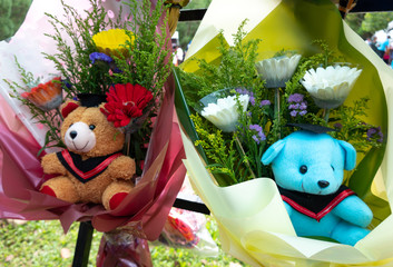 Teddy bear for congratulation gift.