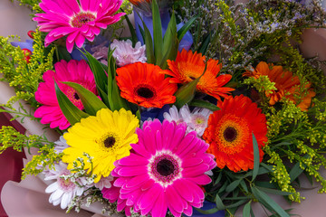 Teddy bear for congratulation gift.