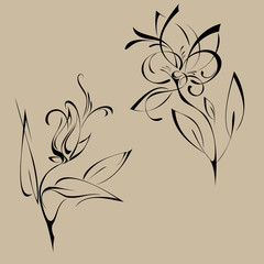 two stylized flowers on the stems with leaves in black lines on a beige background