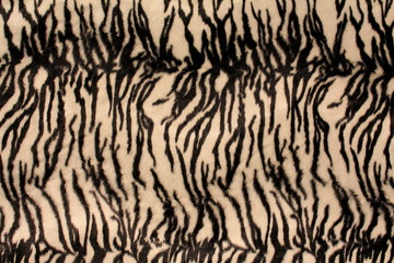 Zebra stripes up close.