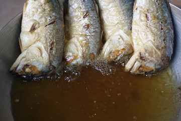 mackerel fish fried in pan oil thai style food