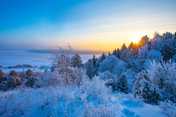 Winter landscape. Frosty sunny day in winter. Forest under white snow.