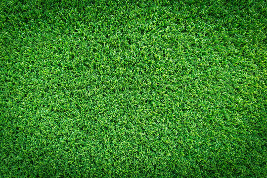 Grass texture background for golf course, soccer field or sports concept design. Artificial green grass.