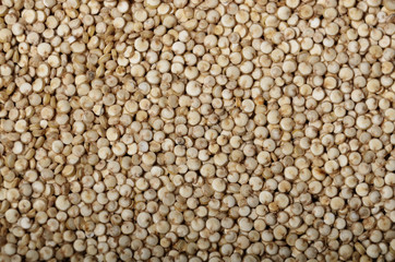 Raw organic superfood gluten free quinoa seeds closeup