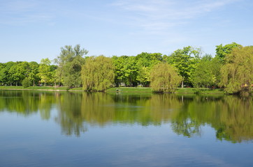 Fototapeta na wymiar Big Novodevichy pond in Moscow on a Sunny spring day, Russia