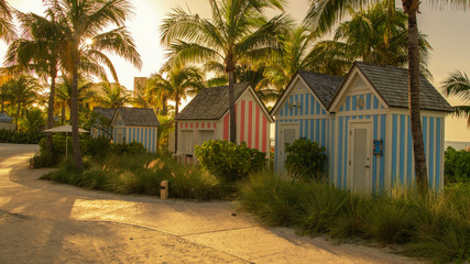 Colored Caribbean beach houses with palm trees