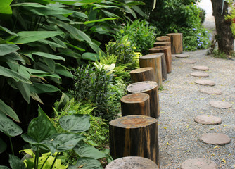 Stumps used as chairs outside in front of the cafe in garden