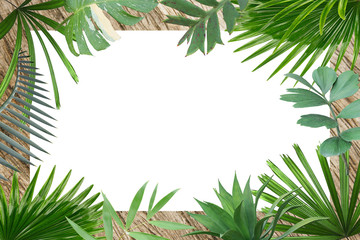 green botanical tropical palm leaves frame background