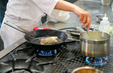 Chef cooking food in the kitchen, Chef preparing food