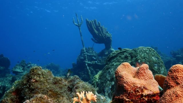 Seascape of coral reef in the Caribbean Sea around Curacao at dive site Playa Grandi with various corals and sponges