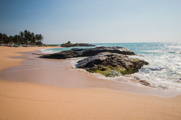 Untouched tropical beach with coconut palms. Tropical vacation  in Sri Lanka. Hikkaduwa. Ambalangoda.