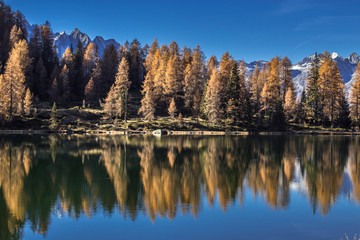 Adamello Brenta natural park, San Giuliano Lakes, Trentino Alto Adige, Italy