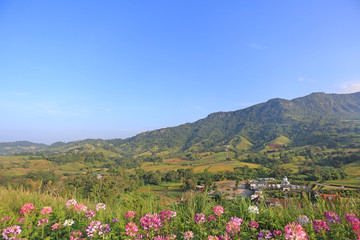 Beautiful landscape view of flower with blue sky mountain and village in Thailand.