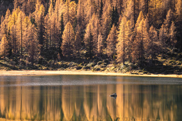 Adamello Brenta natural park, San Giuliano Lakes, Trentino Alto Adige, Italy