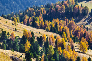 Autumn colors in Funes Valley, Bolzano province, South Tyrol, Italy