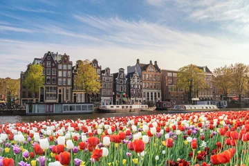 Muurstickers Amsterdam Netherlands, city skyline Dutch house at canal waterfront with spring tulip flower © Noppasinw