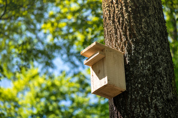 Wooden bird cage attached to tree deep in forest. Birds nest in spring or autumn. Concept of having a cosy house for family