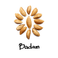 A collection of peeled almond  Badam nuts lies in the shape of a circle or sun on an isolated white background with a clipping path. Peeled Almond Badam  Pattern