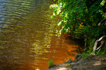 Fototapeta premium Beautiful colorful autumn background of floating lake or river water. Concept of toxic and polluted nature