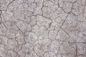 ground crack for texture and background