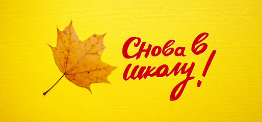 September 1 with autumn leaves on a colored background and hand lettering 