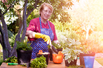 Beautiful mature woman taking care of the garden. Farming, gardening and people concept.