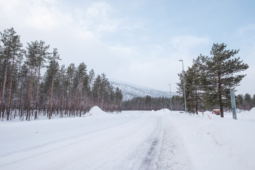 asphalt road covered snow with tree on sideway