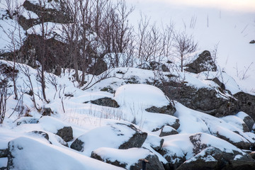Snow covered rocky with dry tree in valley