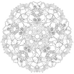 vector drawing flower of lily