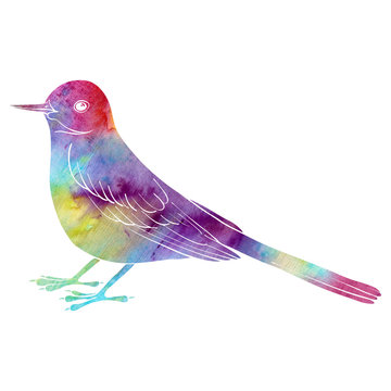 recommend clip art: watercolor silhouette of bird