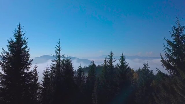 Aerial -flight over the Carpathian mountains in the early morning. Beautiful clouds and fog in a mountain valley. 4K