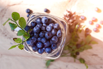 Blueberry antioxidant organic superfood in a jar on wooden background in a sunny forest. Healthy eating and nutrition concept
