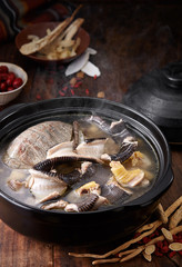 Delicious Chinese food, snake turtle and chicken soup