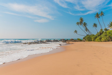 Untouched tropical beach with coconut palms. Tropical vacation  in Sri Lanka. Hikkaduwa. Ambalangoda.