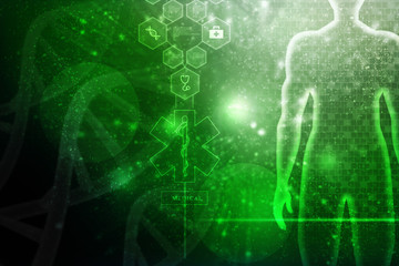 2d illustration Human Male Muscle Body