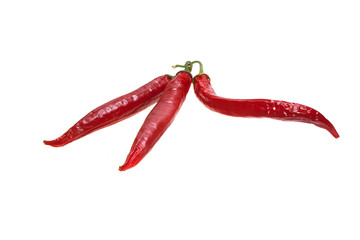 chili pepper isolated on white background